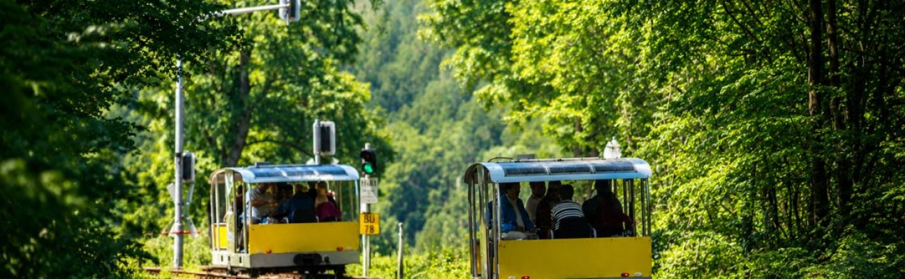 Odenwald mit Schwung & Genuss