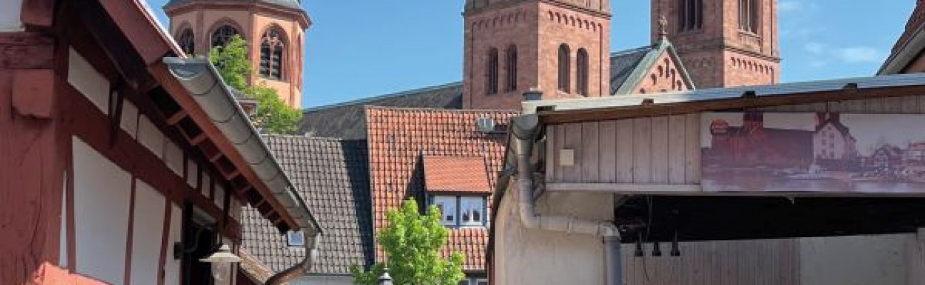 Gänseessen im Spessart