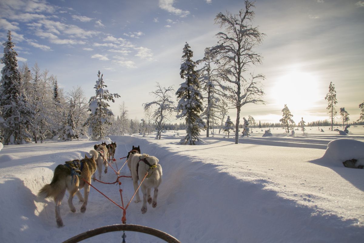 Finnisch Lappland - Winterzauber am Polarkreis