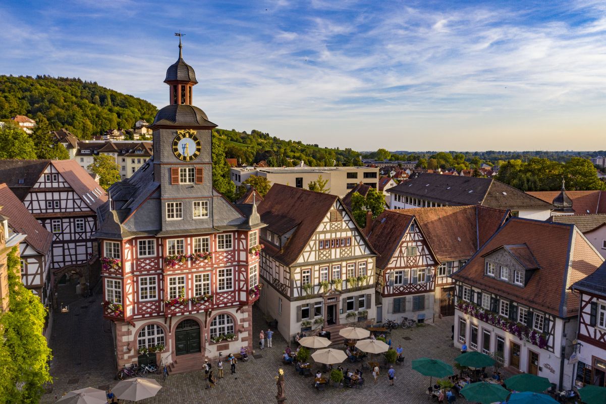Odenwald mit Schwung & Genuss